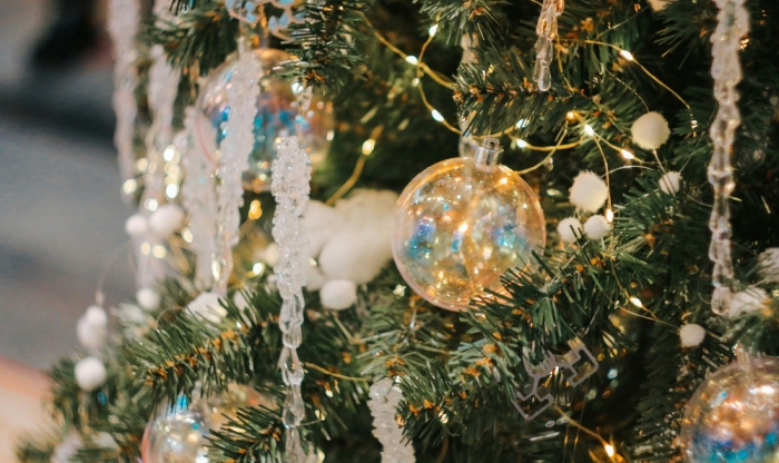 Каникулы в Научке