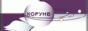 Виртуальная справочная служба Корпорации универсальных научных библиотек